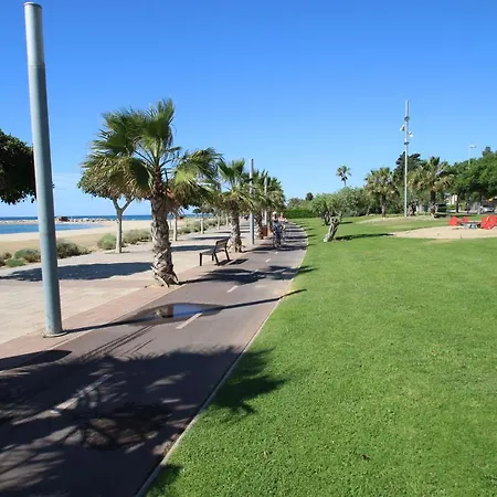 Dorada Mont-roig del Camp