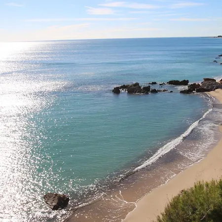 Dorada Mont-roig del Camp